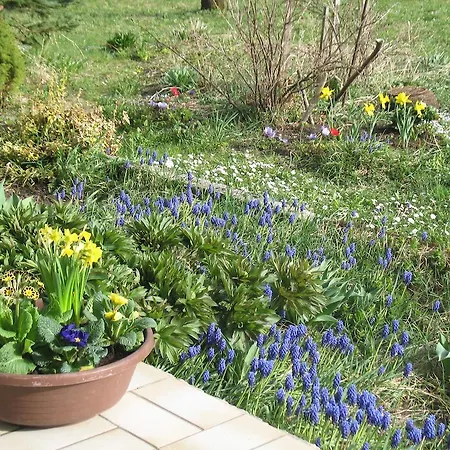 Lägenhet Haus Antlinger *