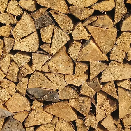 Lägenhet Haus Antlinger *