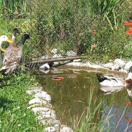 Lägenhet Haus Antlinger *