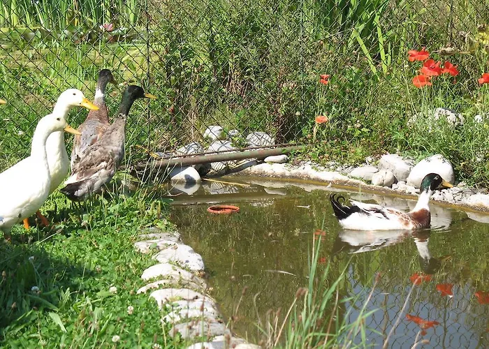 Apartamento Haus Antlinger *