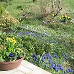 Apartman Haus Antlinger *