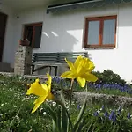 Διαμέρισμα Haus Antlinger Reutte