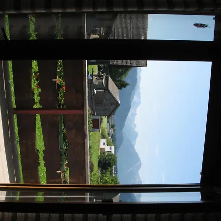 Haus Antlinger Apartment *