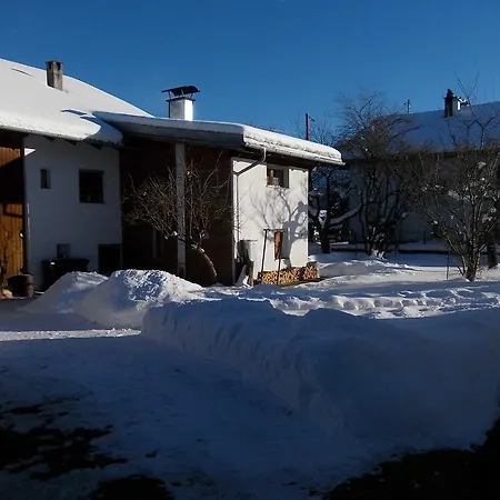 Haus Antlinger Apartment *