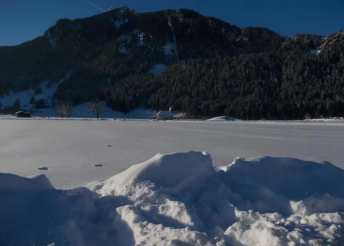 Haus Antlinger Apartment