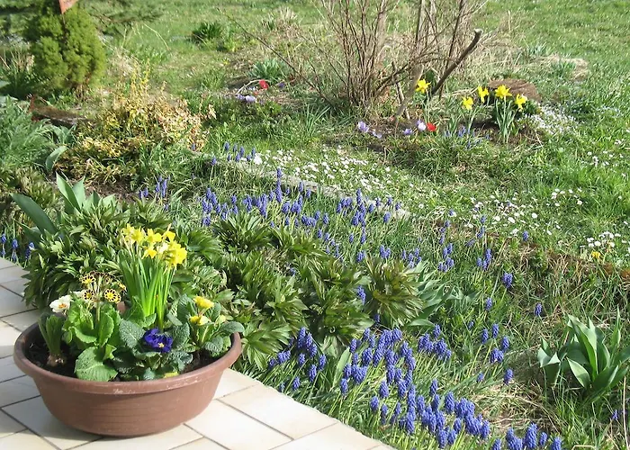 Apartment Haus Antlinger *