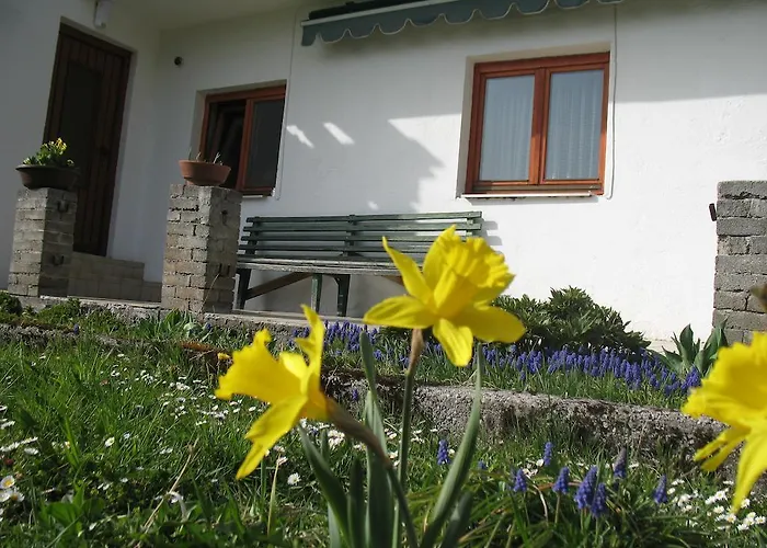 Apartment Haus Antlinger Reutte