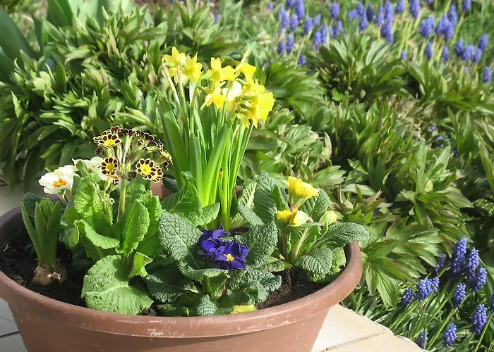 Apartment Haus Antlinger *